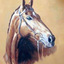 Схема вышивки «Лошадь. Бруно Тина Августо»