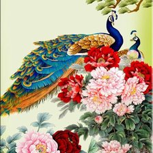 Схема вышивки «Павлин»