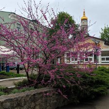 Схема вышивки «Покровский Монастырь, Харьков»