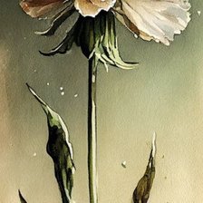 Схема вышивки «№2669707»