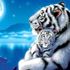 Схема вышивки «№2669921»