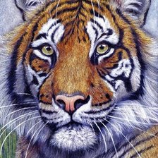 Схема вышивки «№2670016»