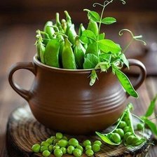 Схема вышивки «Горох.»