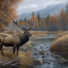 Схема вышивки «№2670730»