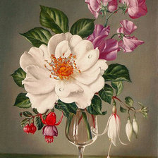 Схема вышивки «цветы»