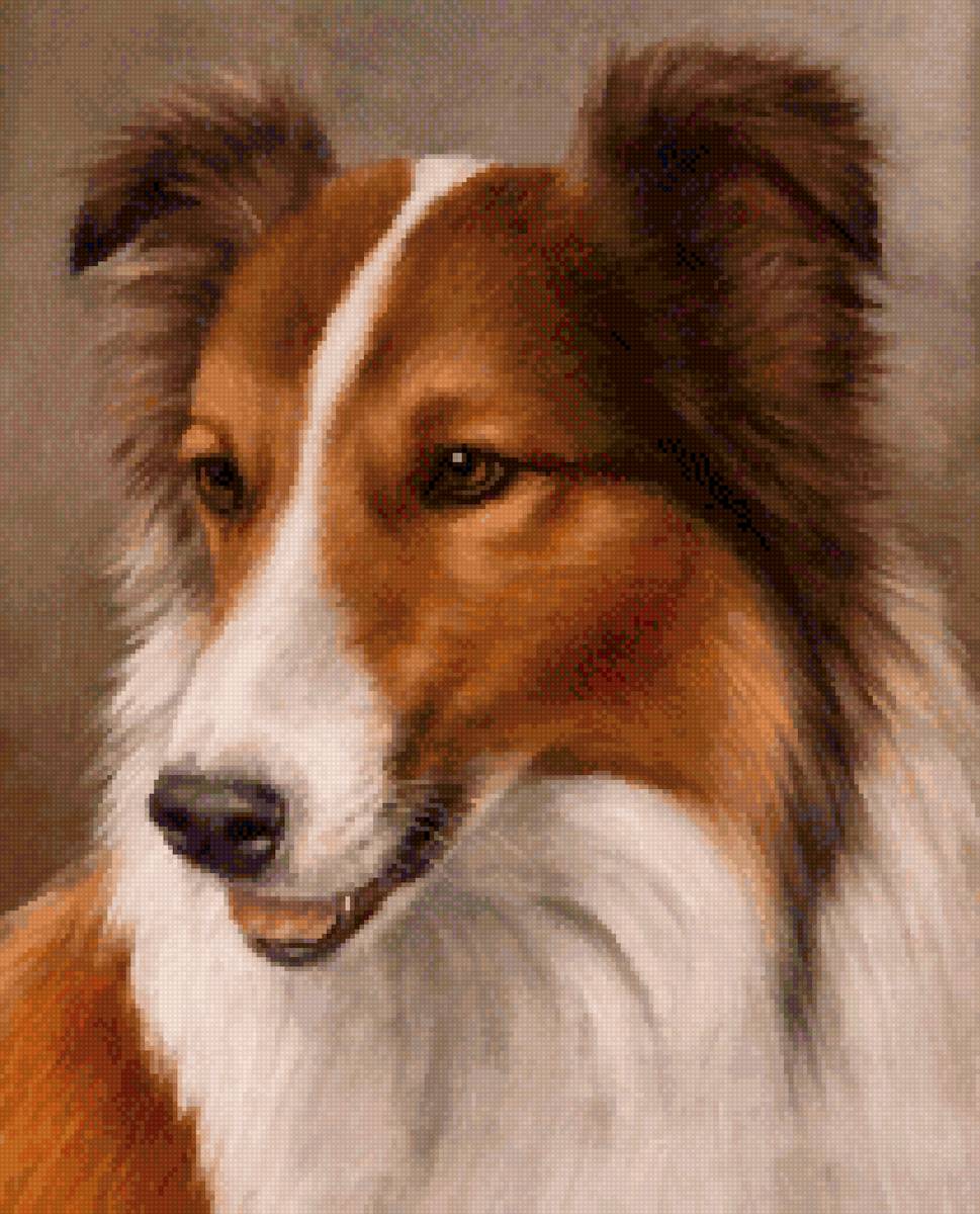 №2670806 - 🐶 - предпросмотр