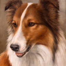 Схема вышивки «№2670806»