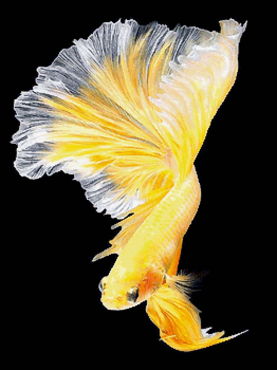 Золотая рыбка 2 - предпросмотр