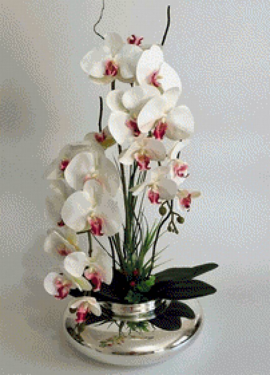 белая скрасным орхидея в металле - предпросмотр