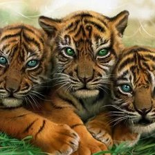 Схема вышивки «№2671269»