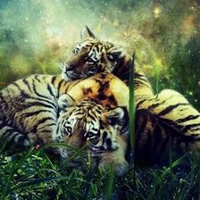 Схема вышивки «№2671281»