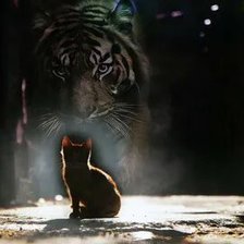 Схема вышивки «№2671284»