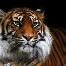 Схема вышивки «№2671287»