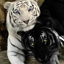 Схема вышивки «№2671288»