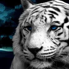 Схема вышивки «№2671293»