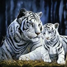 Схема вышивки «№2671296»