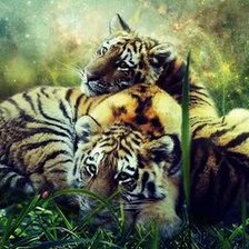 Схема вышивки «№2671299»