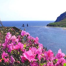 море и багульник