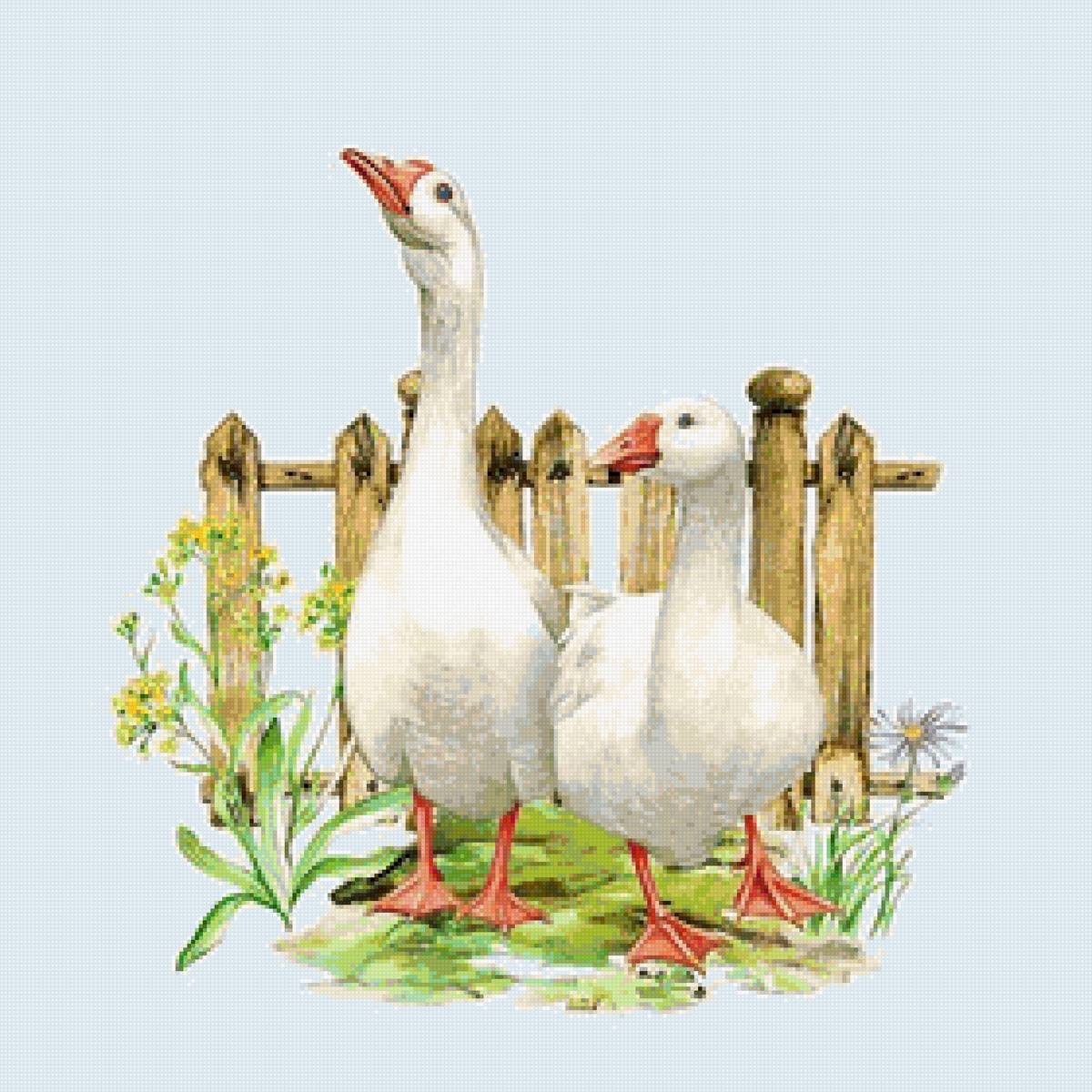 Два гуся - два гуся - предпросмотр