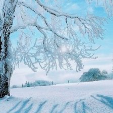 Схема вышивки «Звонкий иней»