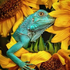 Схема вышивки «А что это вы там делаете?»