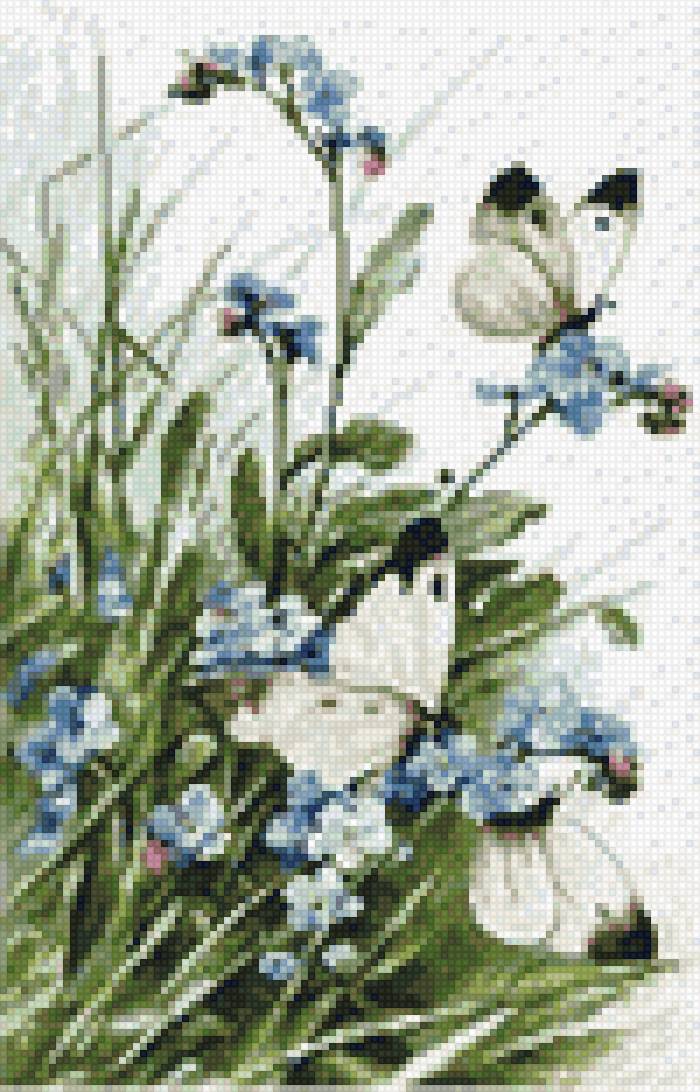 Незабудки - незабудки, бабочки - предпросмотр