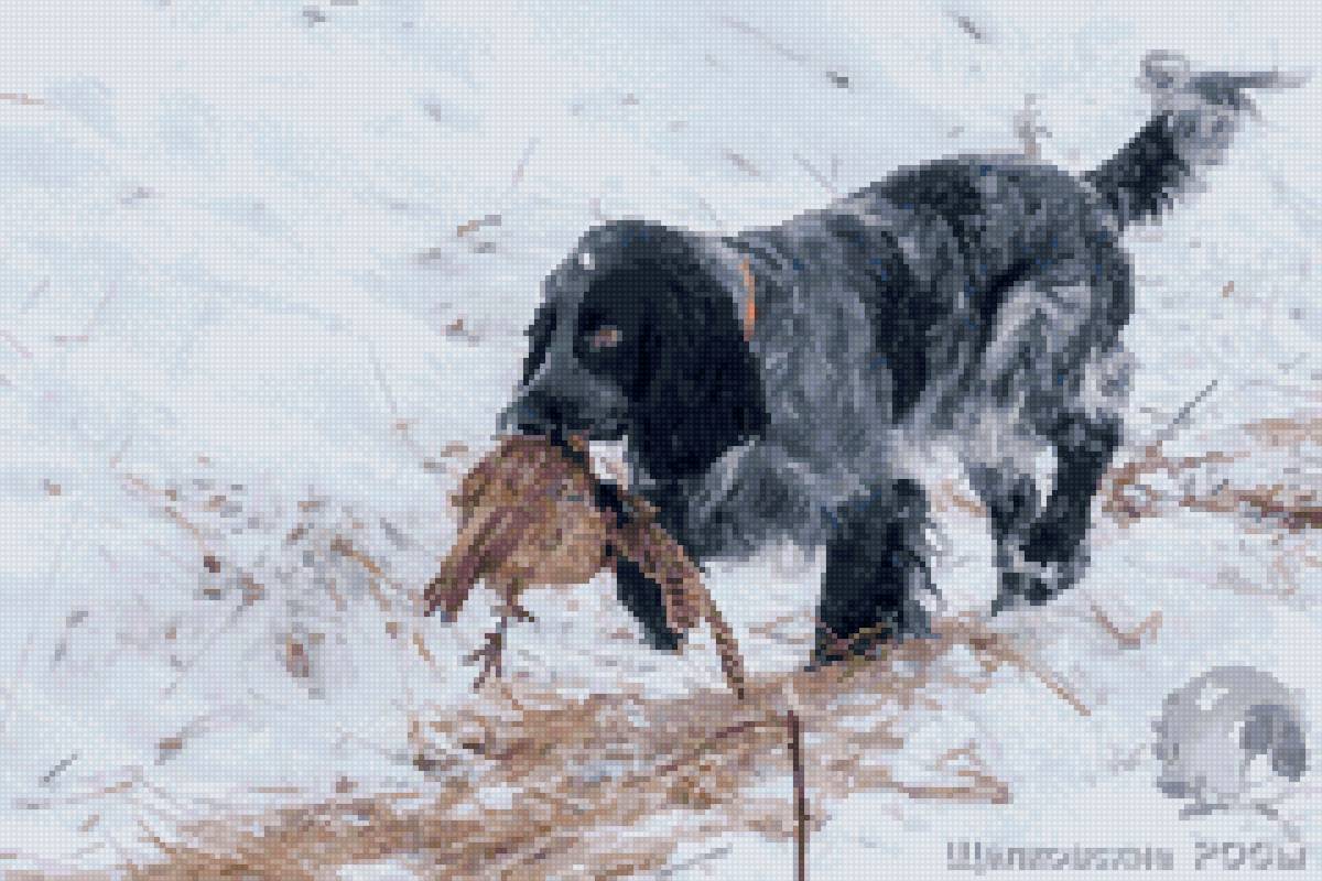добыча - собака, спаниель, охота - предпросмотр