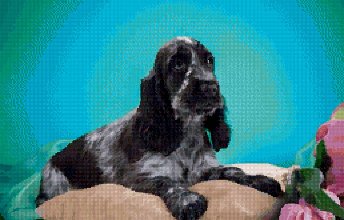 щенок - предпросмотр