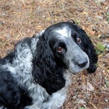 Схема вышивки «кто-то постит»