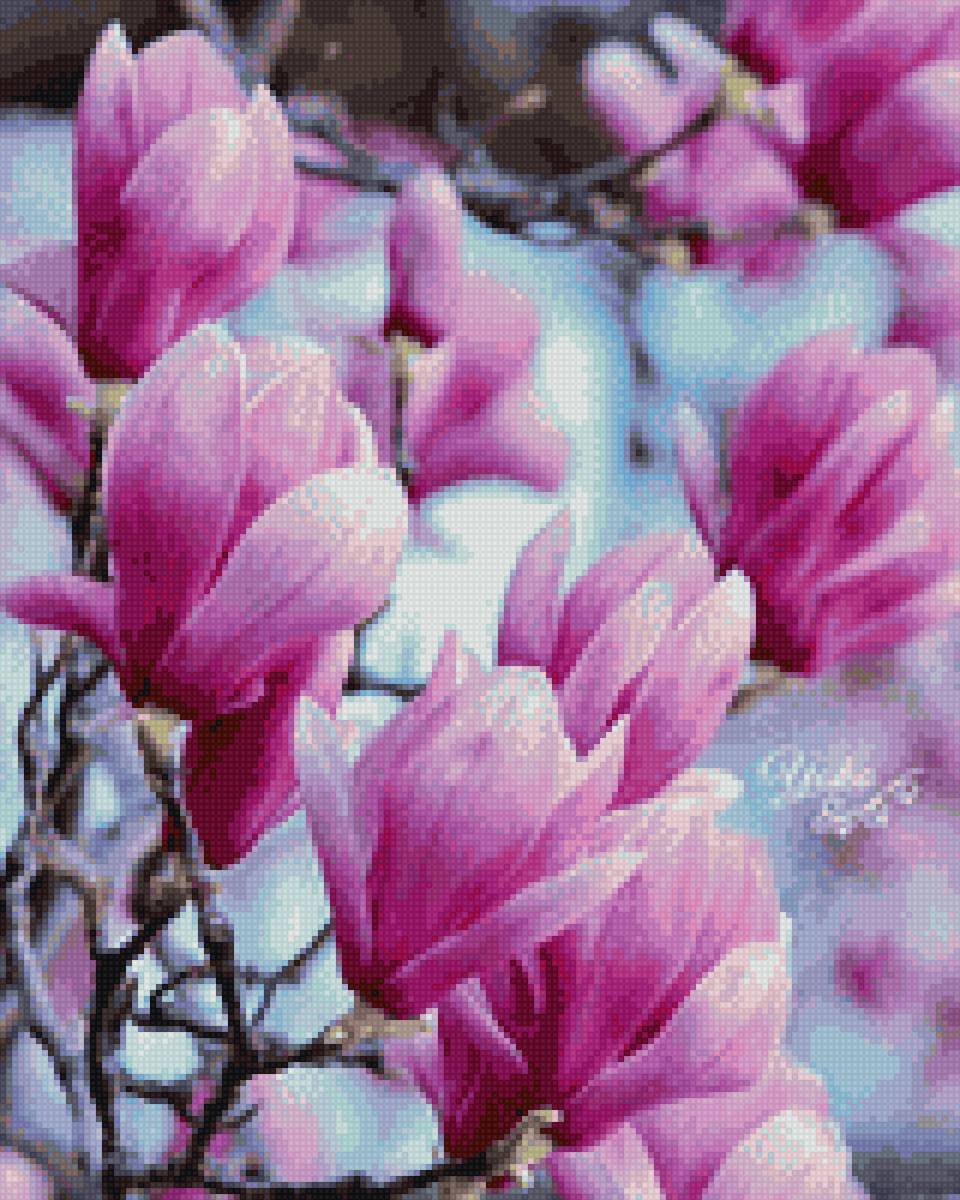 Магнолия - цветы, магнолия - предпросмотр