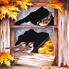 Воробьи на окне