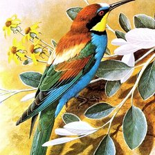 Схема вышивки «Птица»