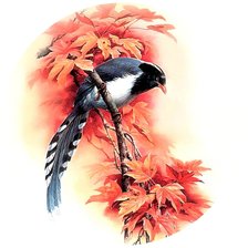 Схема вышивки «Птица»