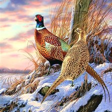 Схема вышивки «Фазаны»