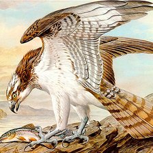 Схема вышивки «На рыбалке»