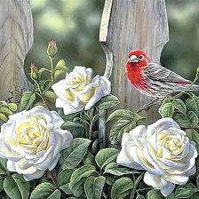 Схема вышивки «Розы у забора»