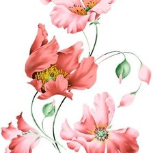 Схема вышивки «маки»