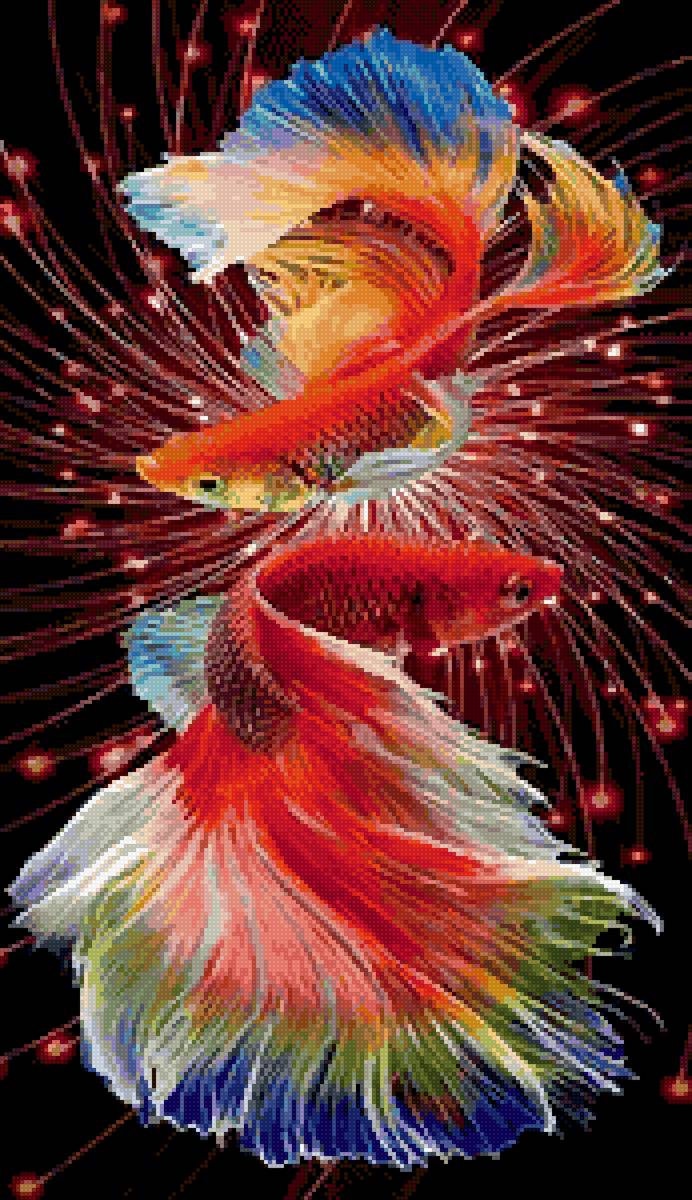 рыбки - предпросмотр