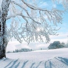 Схема вышивки «Звонкий иней»
