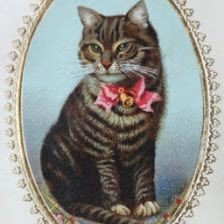 Схема вышивки «Кот ,,Маркиз,,»