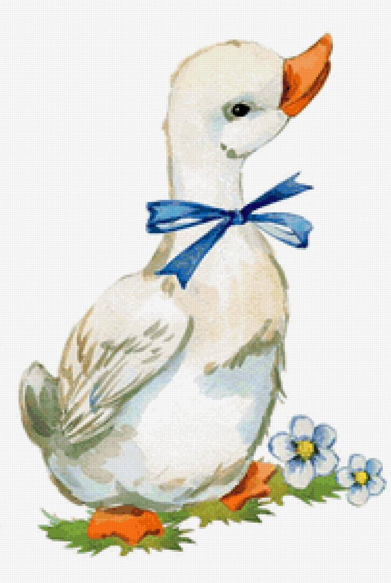 Утёнок - утенок - предпросмотр