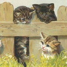 Схема вышивки «Весёлые котята»