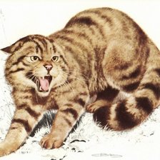 Схема вышивки «Кот»