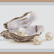 Схема вышивки «жемчужинки»