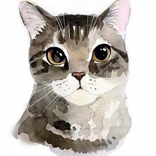 Схема вышивки «Котик»