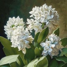 Схема вышивки «№2673727»