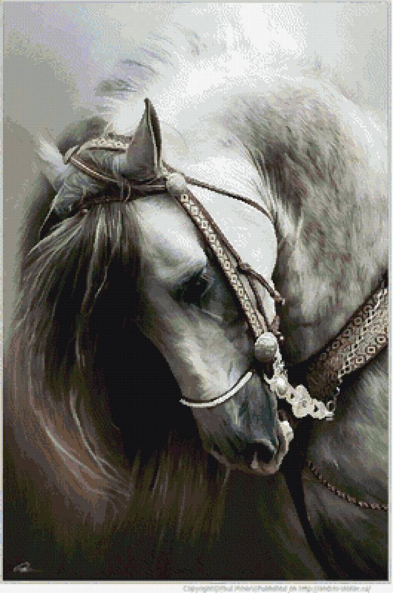 Лошадь 25 - предпросмотр