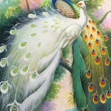 Схема вышивки «Павлины»