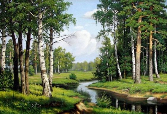 У берез и сосен - деревья, река, лето, пейзаж, лес - оригинал