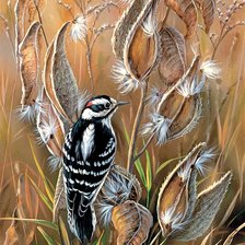 Схема вышивки «Птица»